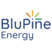 blupine